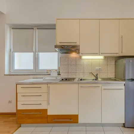 Apartment Roko *